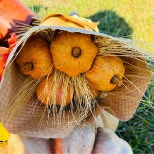Preserved wheat, handmade pumpkin dried bouquet